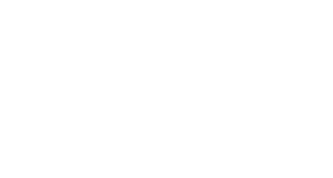 kingmaxW